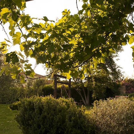 Podere Turicchio オルベテッロ エクステリア 写真