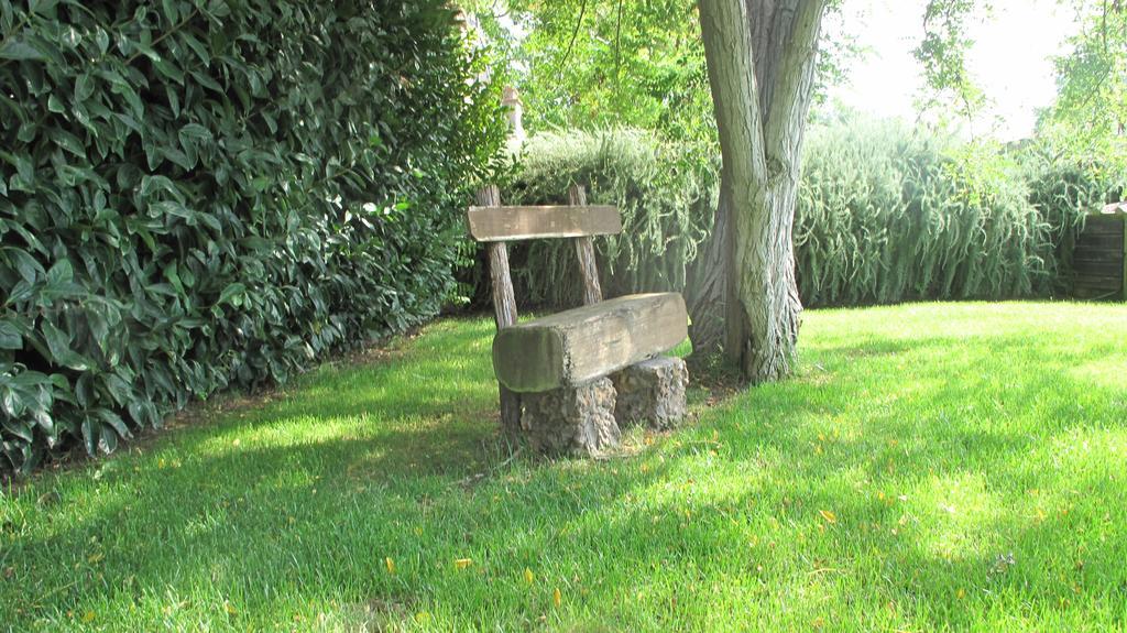 Podere Turicchio オルベテッロ エクステリア 写真