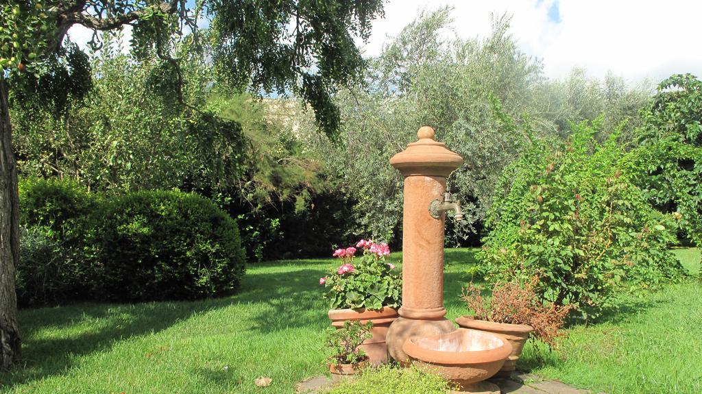 Podere Turicchio オルベテッロ エクステリア 写真
