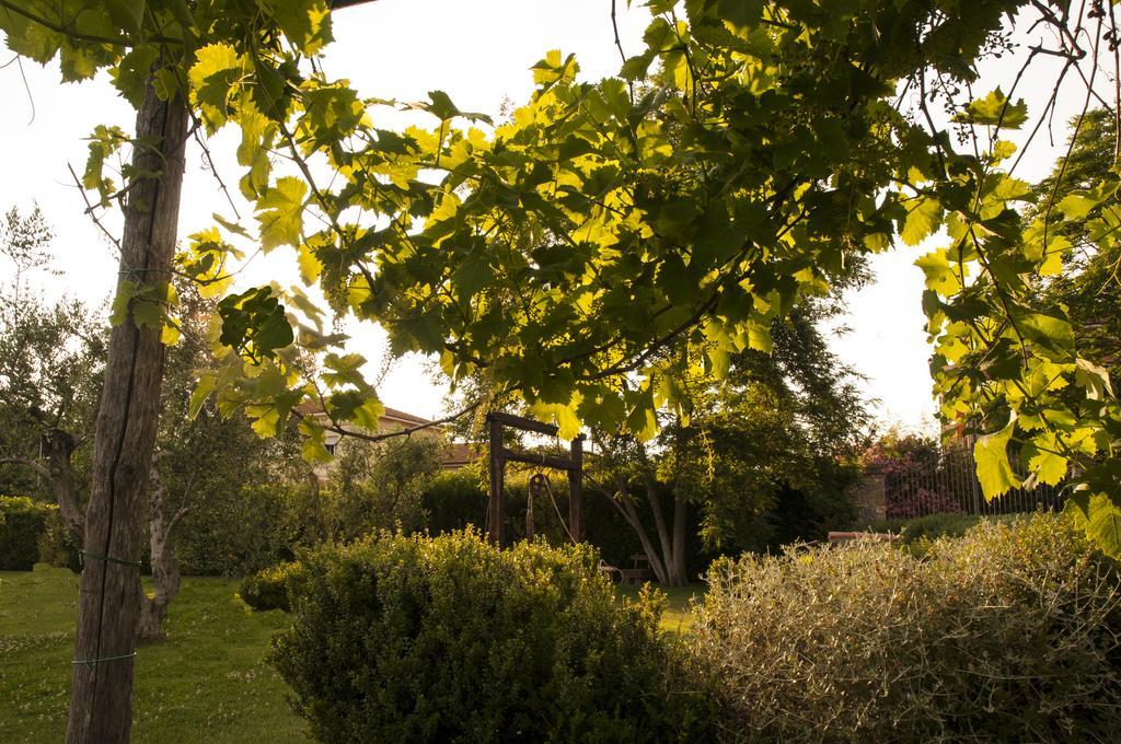 Podere Turicchio オルベテッロ エクステリア 写真